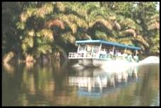 Descripci�n: http://www.ecojunglecruises.com/images/261.jpg