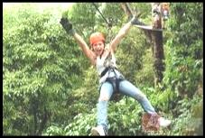 Descripci�n: Titi Canopy tour